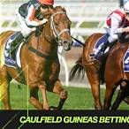 bet on caulfield guineas